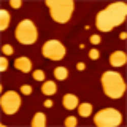 Lipid Rafts Phase Separation In Lipid Bilayers Studied With Afm
